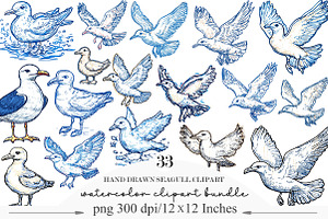 Hand Drawn Seagull Clipart PNG, an Illustration by Designking