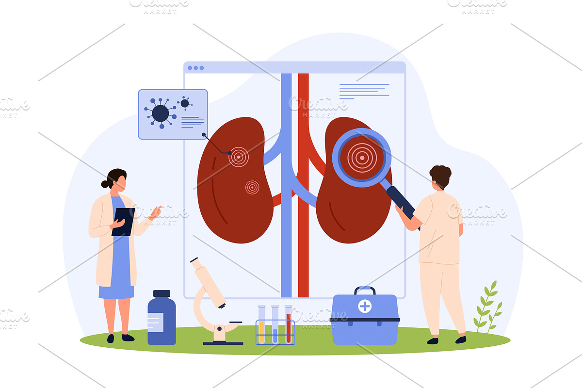 Pyelonephritis, nephrology, kidney, an Object Illustration by Flashvector