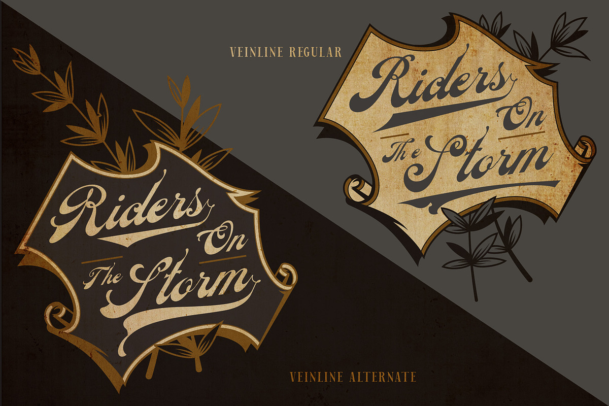 Veinline - Victorian Script, a Script Font by Burntilldead (Photo 7 of 9)