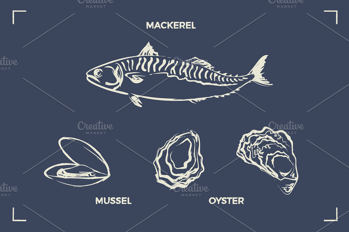 SEAFOOD (30+ illustrations), a Food Illustration by Bonfloret Studio (Photo 7 of 9)