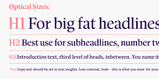 Antonia, a Serif Font by Typejockeys (Thumbnail 3 of 6)
