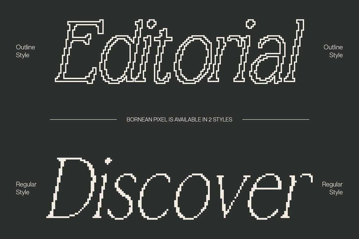 Bornean Pixel, a Serif Font by Craft Supply Co. (Photo 3 of 8)