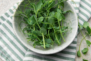 Fresh green pea shoots in bowl with striped cloth, a Food & Drink Photo by Olena Rudo