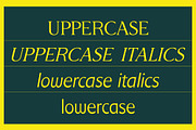 Honeyfield Serif, a Font by Press & Pen (Thumbnail 7 of 8)