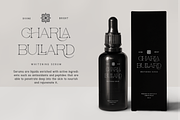 Charla - Modern Serif Typeface, a Serif Font by overlaytemplates (Thumbnail 2 of 5)