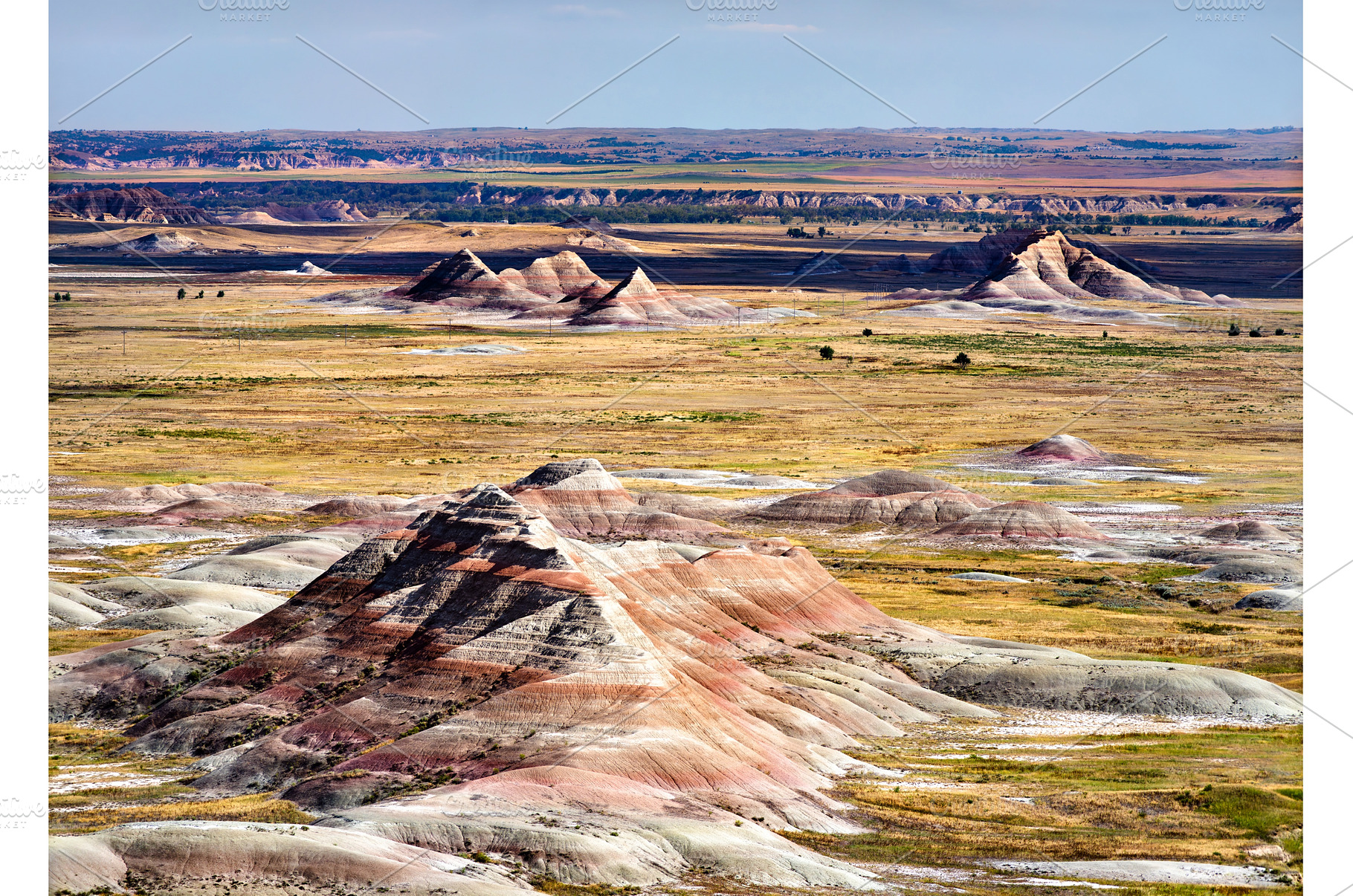 Telephoto view of colorful conical, a Nature Photo by Leonid Andronov