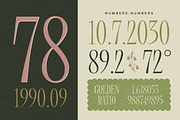 Modiserif, a Serif Font by graphicook (Thumbnail 9 of 10)
