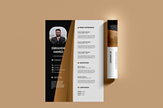 100 Resume - luxury templates, a Resume Template by Hamed Studio (Thumbnail 3 of 15)