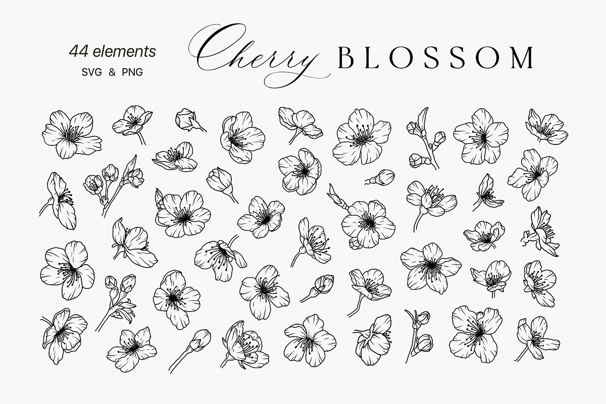 SAKURA - CHERRY blossom line art set, a Decorative Illustration by Madiwaso (Photo 4 of 8)