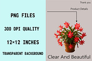 Watercolor Christmas Cactus Clipart, an Illustration by SVGArt (Thumbnail 8 of 8)