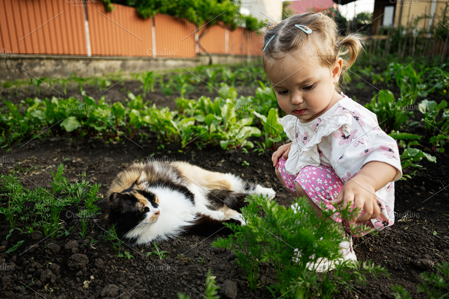 Child interacting with a cat in a lush home garden, a Person Photo by AS photostudio