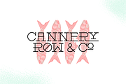 Cannery Row Slab Serif Display Font, a Slab Serif Font by Holt510 (Thumbnail 11 of 11)