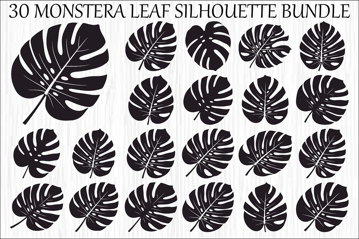 Monstera Leaf Silhouette Bundle, an Illustration by yasushie (Photo 1 of 31)