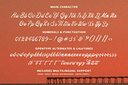Motesta Script Font, a Script Font by Letter Fresh (Thumbnail 10 of 10)