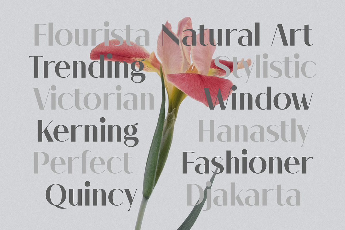 Melloida High Contrast Sans Family, a Sans Serif Font by Lettertype Studio (Photo 5 of 15)