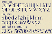 Brilliant Heavens Font, a Serif Font by 177Studio (Thumbnail 8 of 9)