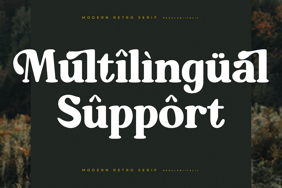 Mistys Relrica  Modern Retro Serif, a Serif Font by Letterena Studios (Photo 12 of 15)