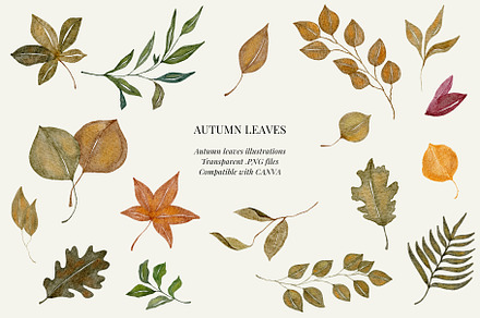 Fall watercolor illustrations, a Seasonal Illustration by AS Studio