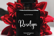 Agatha | Script Font, a Handwritten Font by Scratchones (Thumbnail 4 of 9)