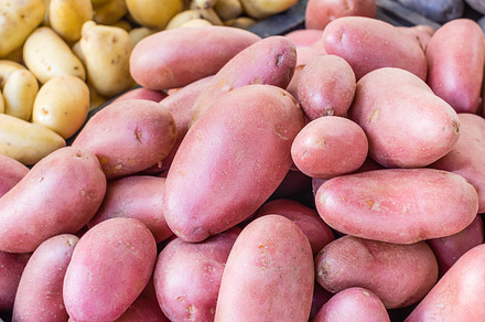 Colorful Fresh Potatoes On Display preview 6