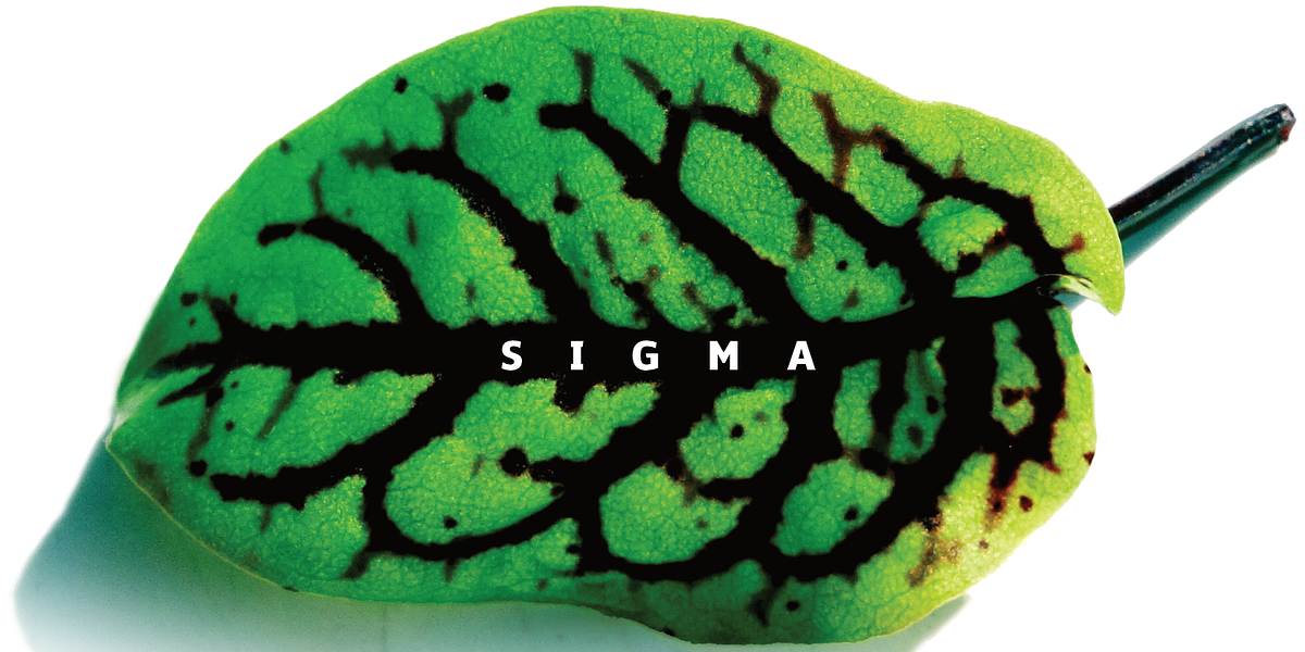 Sigma, a Sans Serif Font by Wiescher-Design (Photo 10 of 10)