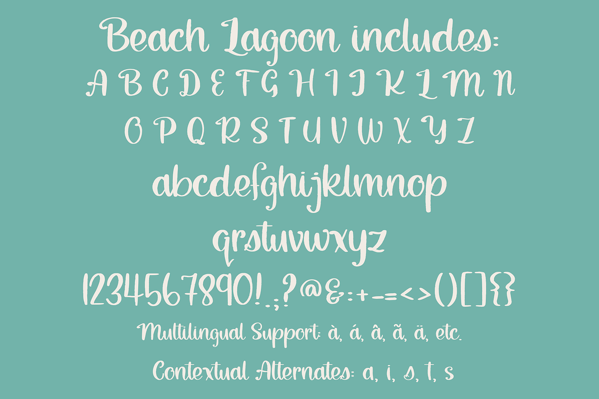 Beach Lagoon, Brush Script Font, a Script Font by Designing Digitals (Photo 2 of 9)