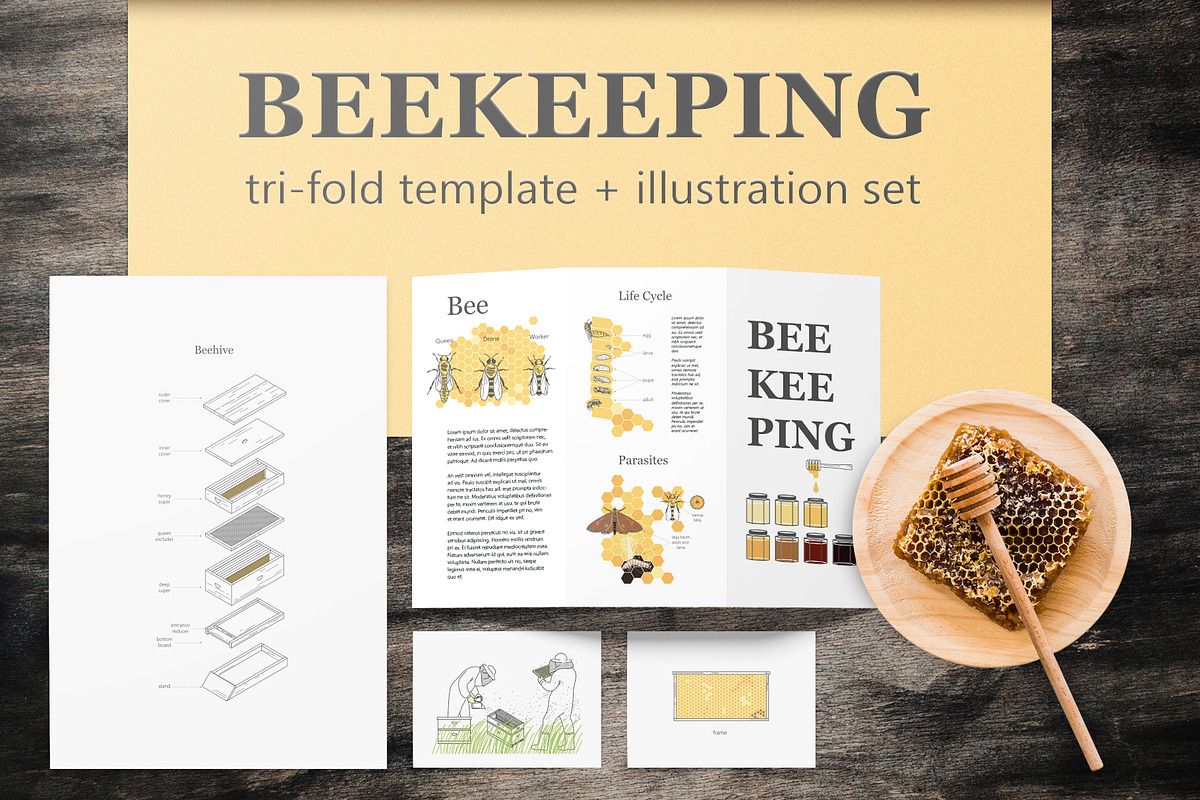 Beekeeping illustrations + tri-fold, an Education Illustration by bartamarabara (Photo 1 of 4)