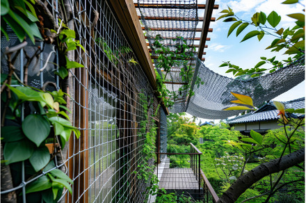Climbing plants growing on metal, an Architecture Photo by Ylivdesign