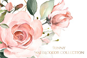 Sunny watercolor floral collection, a Decorative Illustration by Lisima (Thumbnail 4 of 14)
