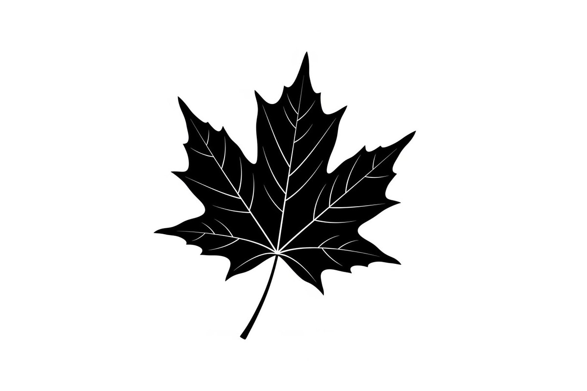 Maple Leaf Silhouette Bundle, a Graphic by musafir_fashion (Photo 7 of 10)