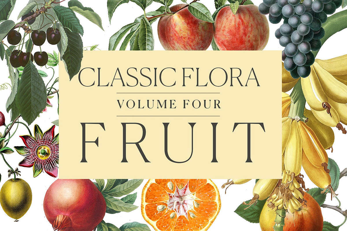 Botanical Master Collection, a Food Illustration by BlackBird Foundry (Photo 5 of 10)