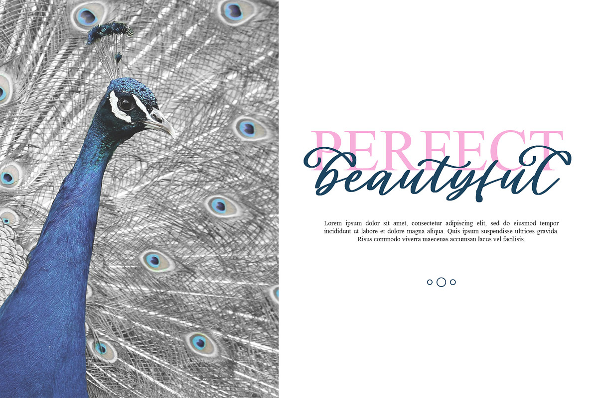 Cladessia, a Script Font by Ditatype (Photo 4 of 8)