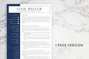 Resume Template Word And Pages