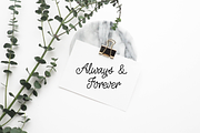 Oh Azalea Script Font, a Script Font by theinkaffair (Thumbnail 2 of 6)