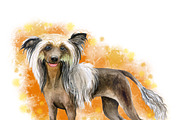 Watercolor Dogs Mega Big Bundle, an Illustration by Dneprstock (Thumbnail 18 of 60)