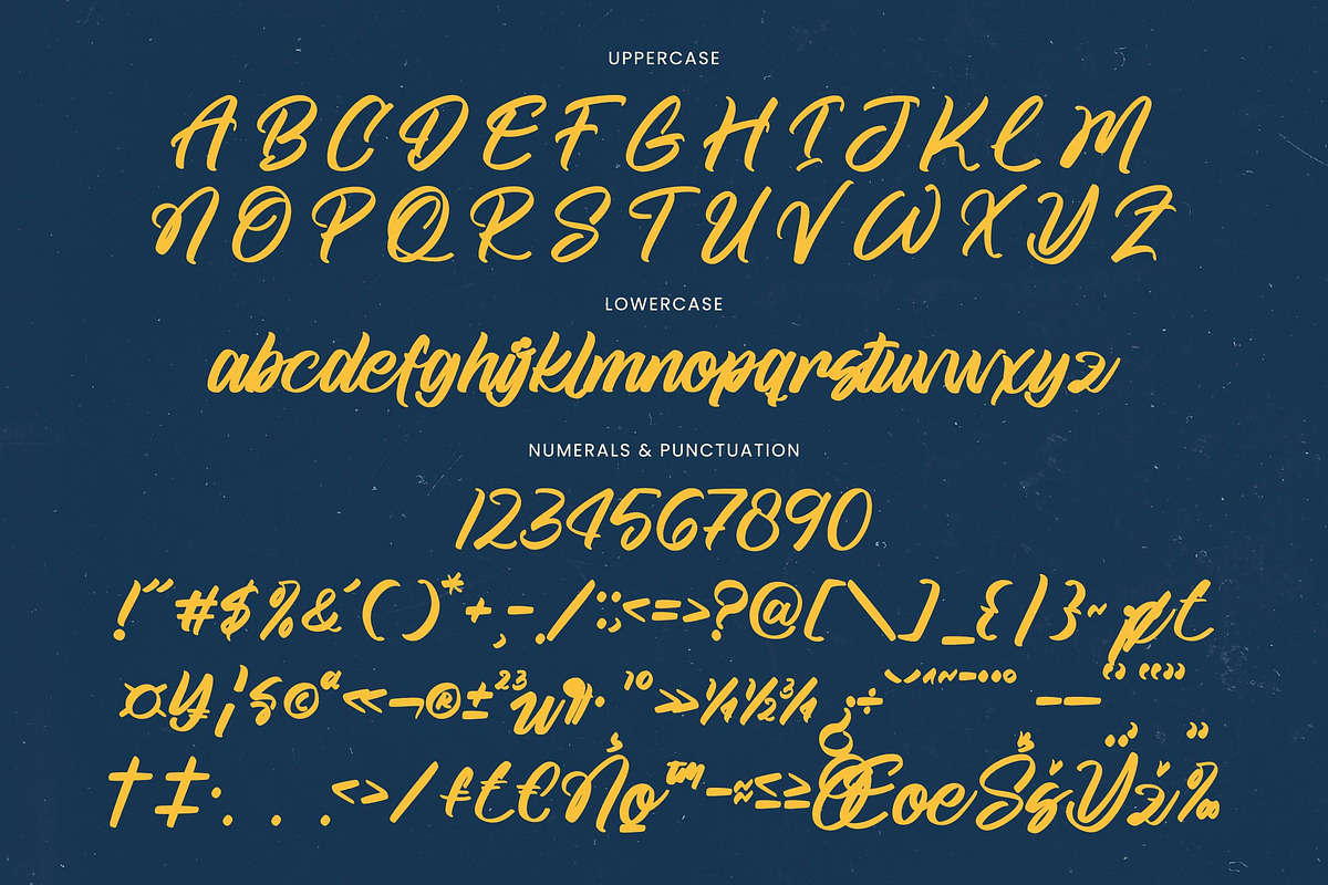 Goland Button Modern Brush Font, a Script Font by stylishtype.co (Photo 17 of 20)