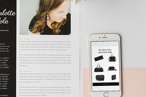 Charlotte Brand Graphics