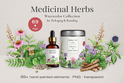 Medicinal Herbs Watercolor Clipart, a Healthcare Illustration by AnitaPol (Thumbnail 1 of 11)
