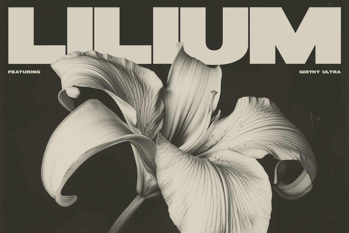 Girthy Ultra Sans, a Sans Serif Font by Tom Gordon Design (Photo 5 of 6)