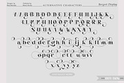 Borgest Display, a Serif Font by Black Studio (Thumbnail 11 of 15)