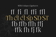 Cardival – Modern Luxury Bold Serif, a Serif Font by Lettertype Studio (Thumbnail 11 of 11)