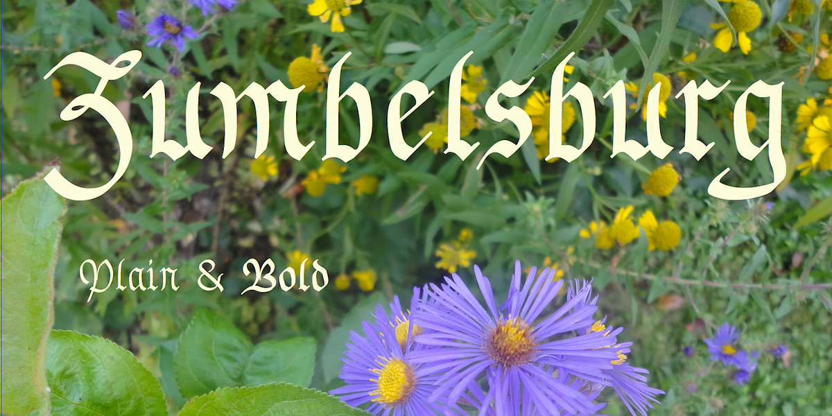 Zumbelsburg, a Blackletter Font by Ingrimayne Type (Photo 1 of 5)