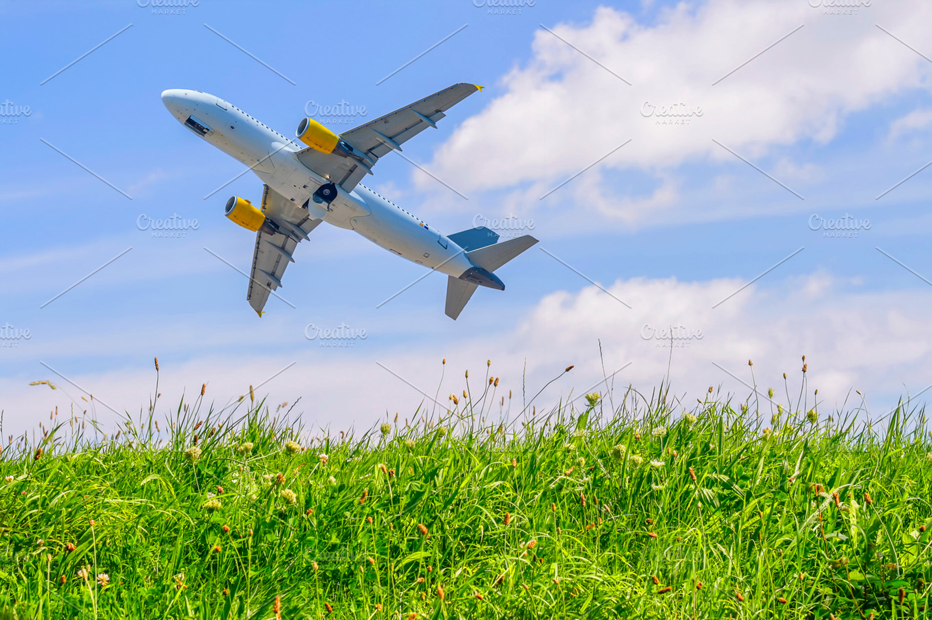 Flying To The Sun