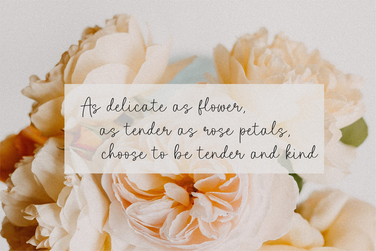 Brightwoods - Handwritten Font, a Script Font by Letterative Studio (Photo 3 of 7)