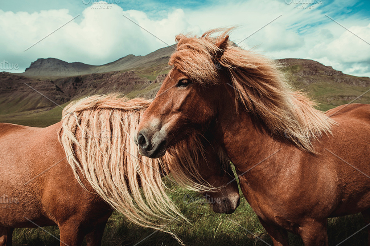 Mega Bundle Lightroom Presets preview 3