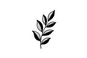 Hand Drawn Leaf Line Art Bundle, an Illustration by hafijul (Thumbnail 3 of 51)