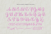 Bettys Rolling Script, a Script Font by Gleb Guralnyk (Thumbnail 7 of 8)