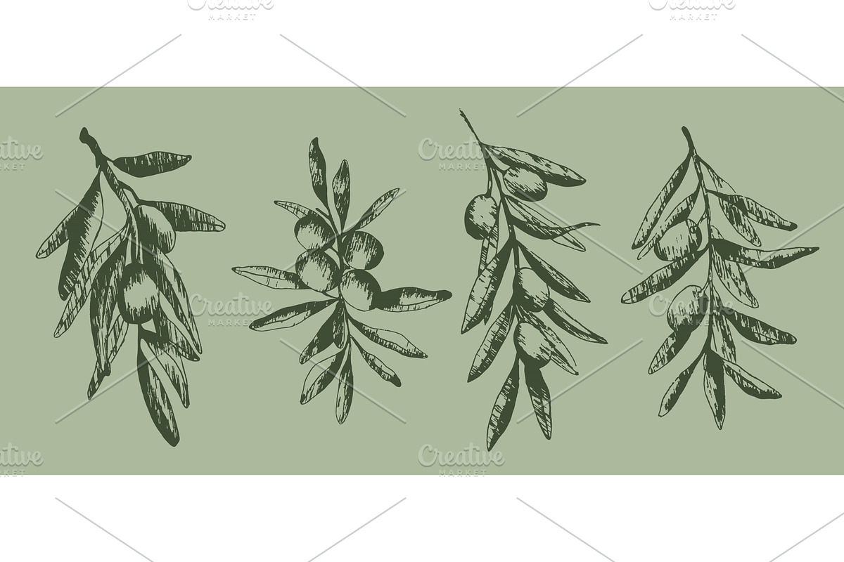 Olive branches set on green, a Food Illustration by art PVP - market