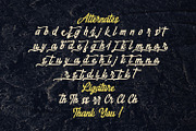 Megahunt - Brush Script Font, a Script Font by StringLabs (Thumbnail 13 of 13)