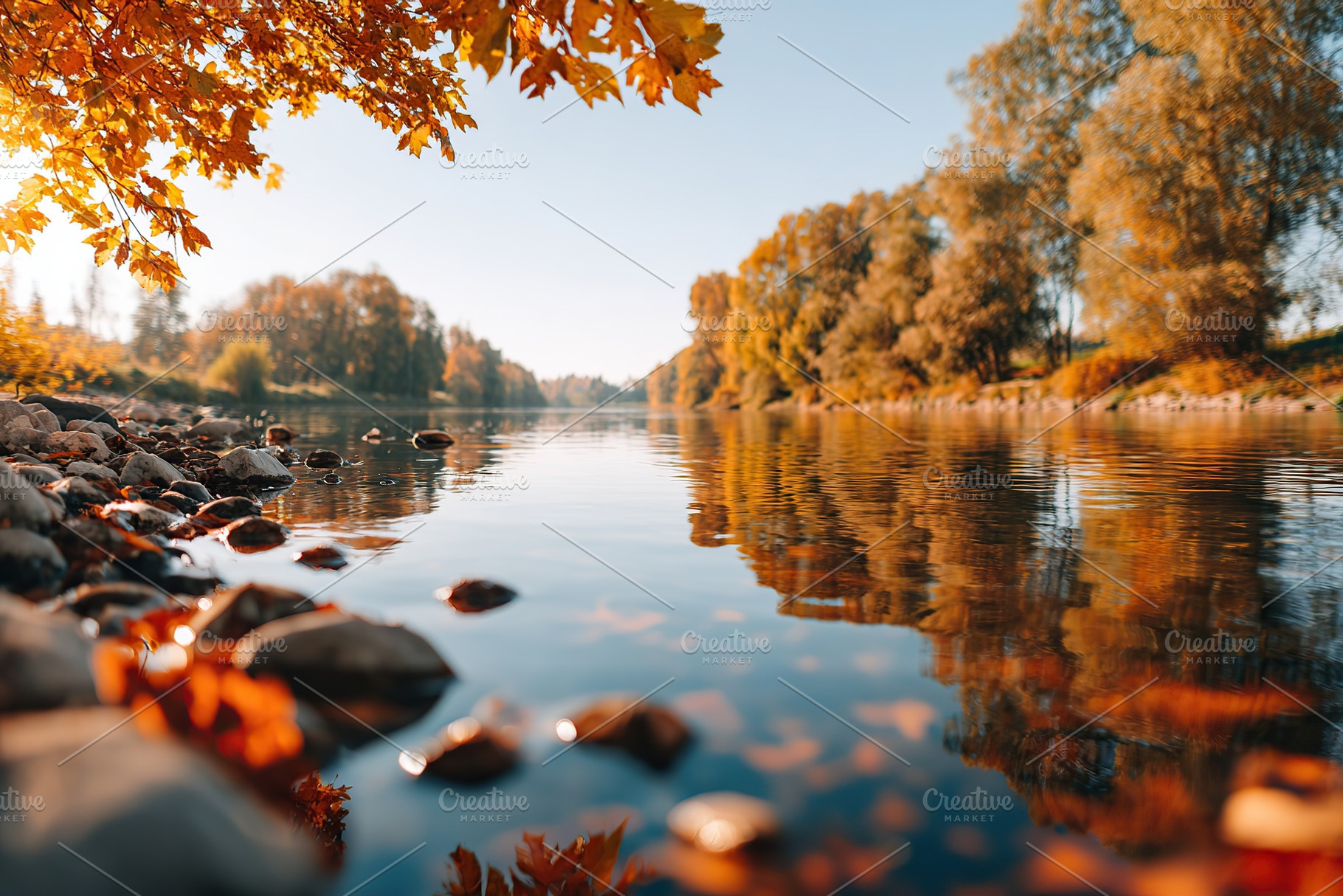 Autumn leaves fall gently by a quiet river reflecting golden trees, a Photo by AlyaAnd